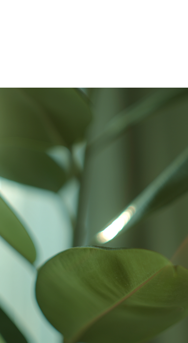 and Best Condition Days