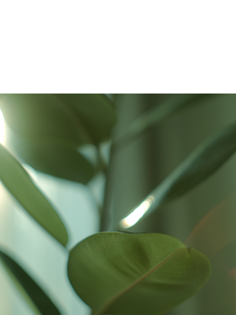 and Best Condition Days